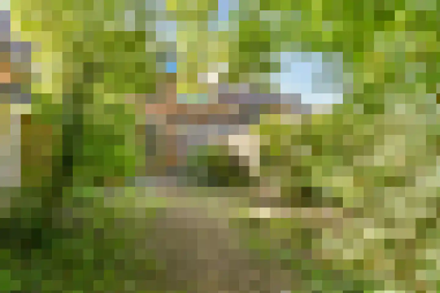 Griend 147 Diemen thumbnail 14