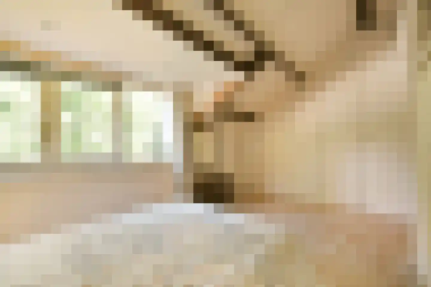Griend 147 Diemen thumbnail 18