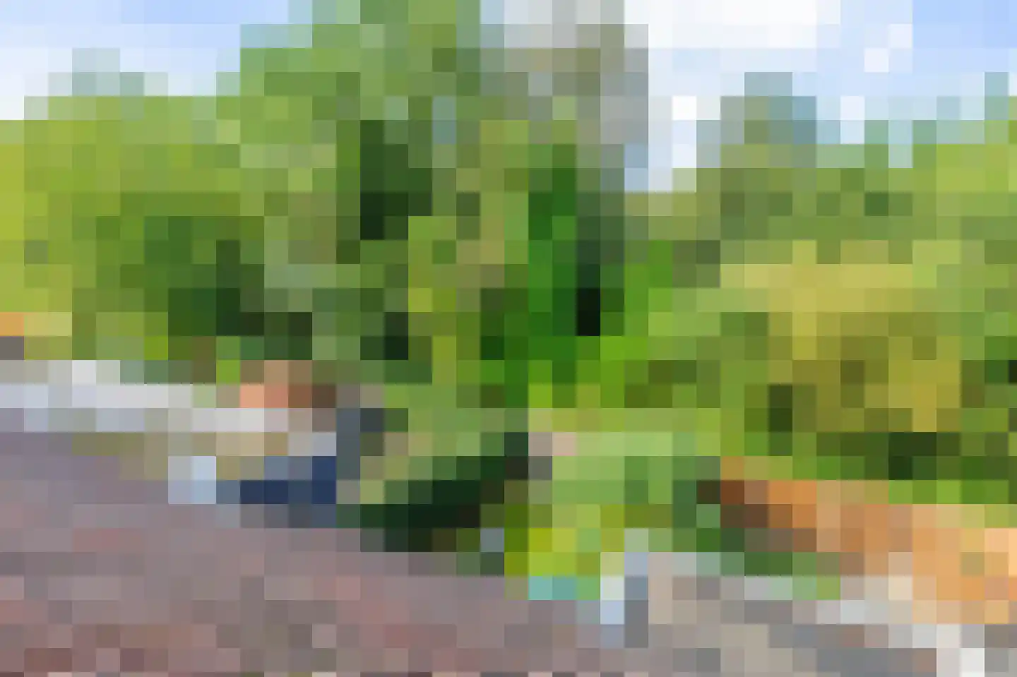 Griend 157 Diemen thumbnail 47