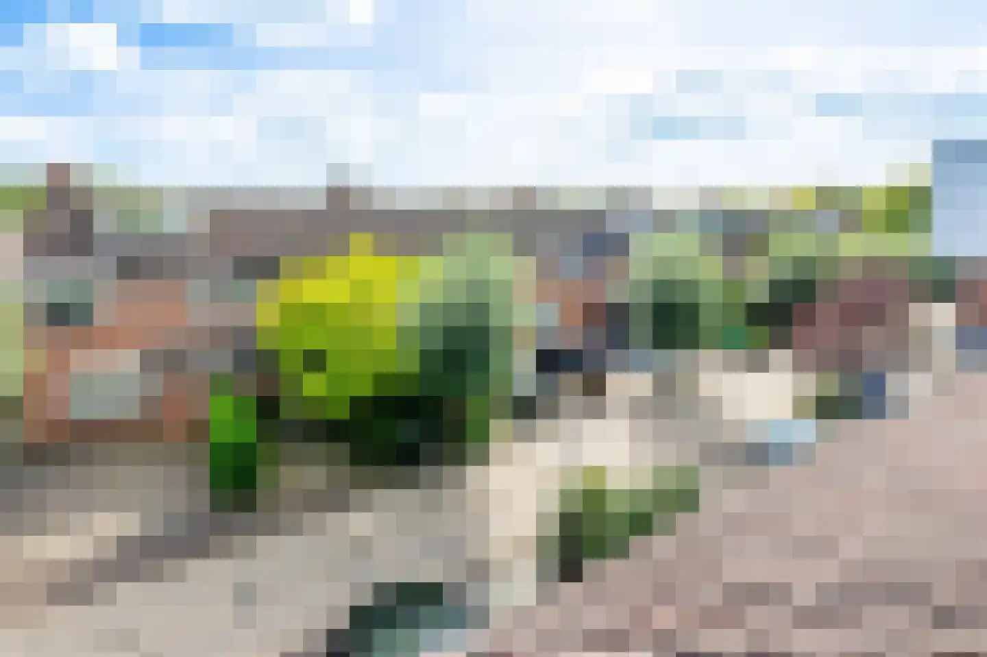 Griend 157 Diemen thumbnail 50