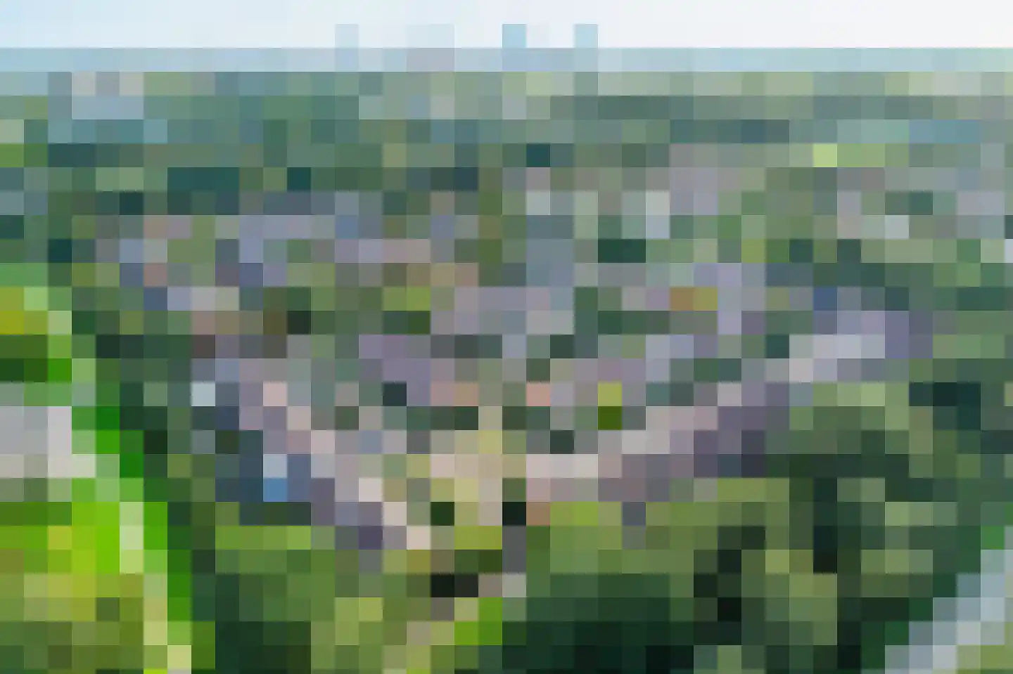 Griend 157 Diemen thumbnail 52