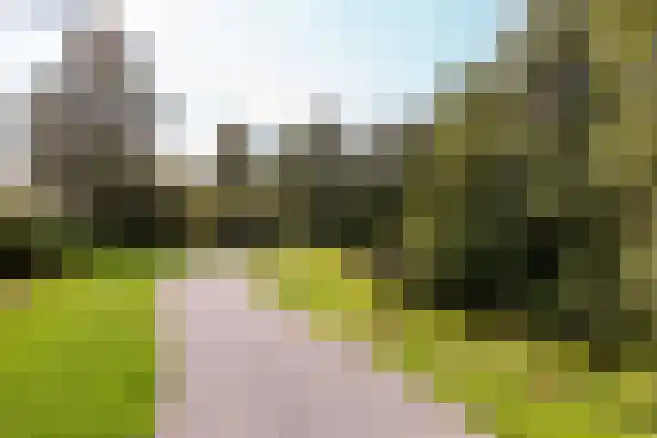 Griend 16 16 4 Lelystad thumbnail 36