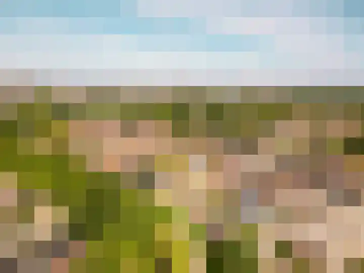 Griend 16 4 Lelystad thumbnail 37
