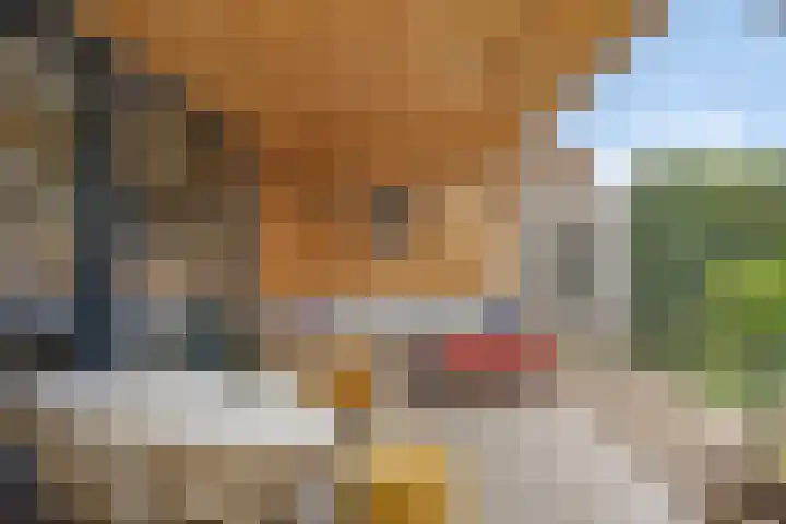 Griend 17 Elst thumbnail 35