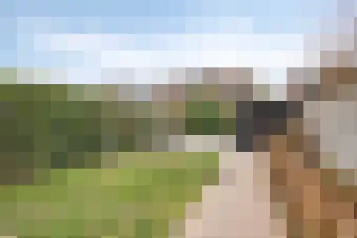 Griend 17 Elst thumbnail 41