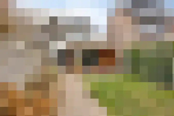 Griend 17 Elst thumbnail 43
