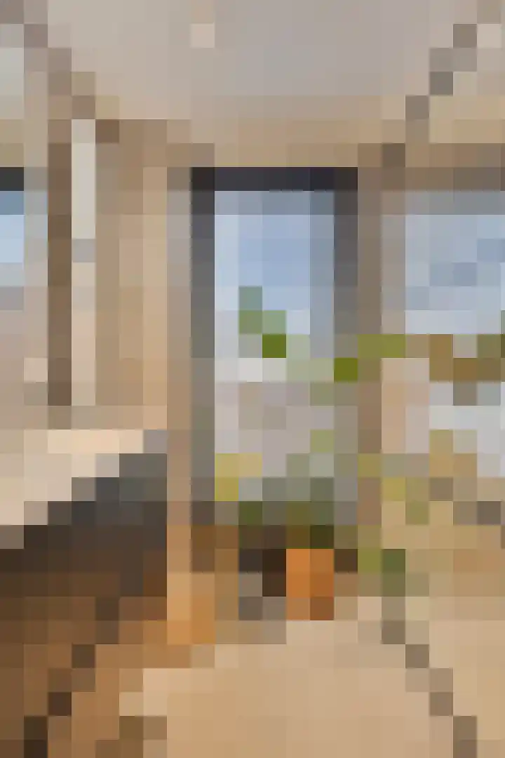 Griend 17 Elst thumbnail 51