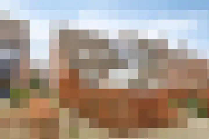 Griend 17 Elst thumbnail 79