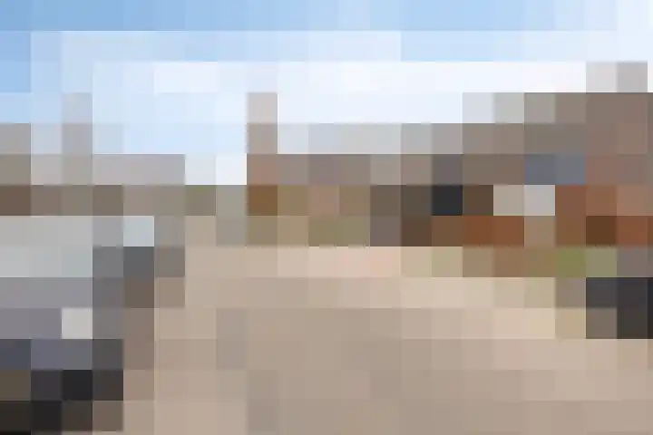 Griend 17 Elst thumbnail 82