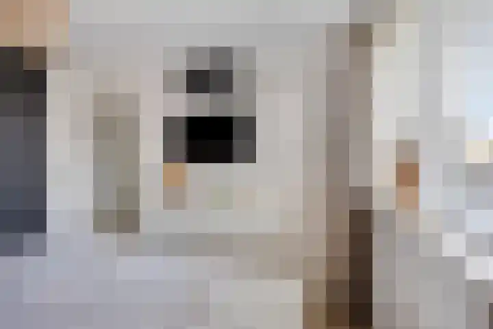 Griend 19 Elst thumbnail 18