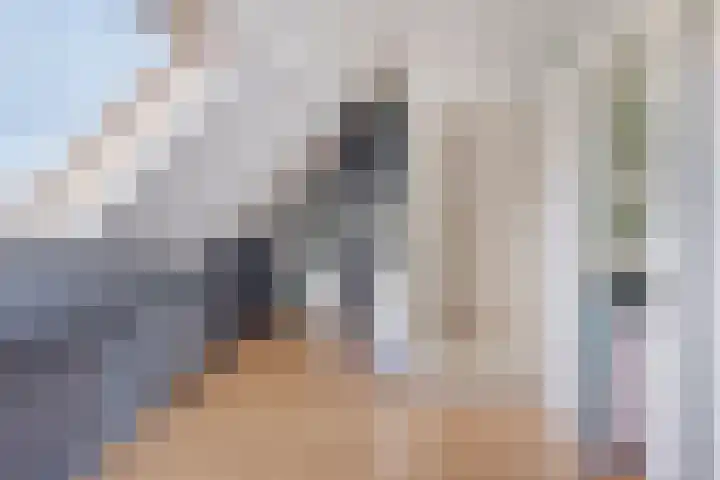 Griend 19 Elst thumbnail 25
