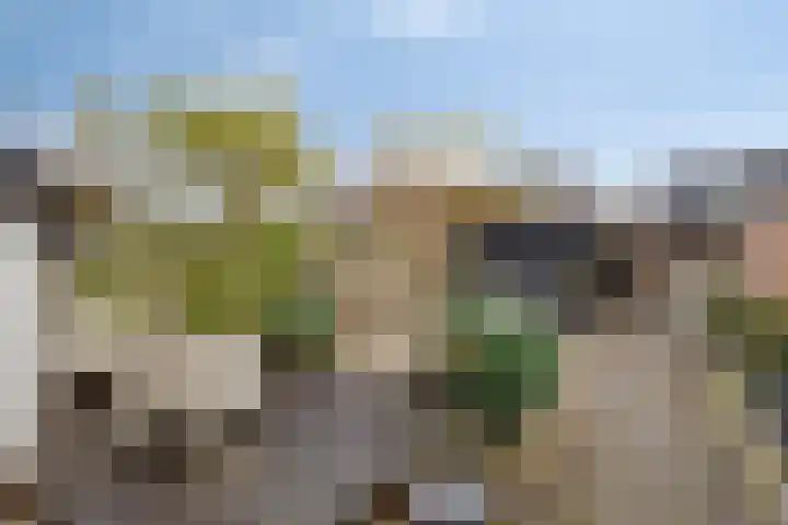 Griend 19 Elst thumbnail 31