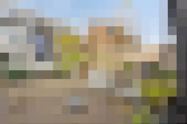 Griend 19 Elst thumbnail 34