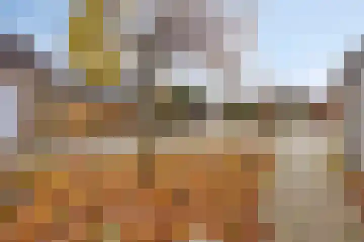 Griend 19 Elst thumbnail 36