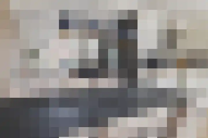 Griend 20 32 Lelystad thumbnail 12
