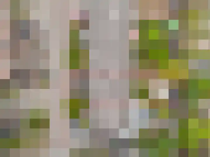 Griend 20 32 Lelystad thumbnail 25