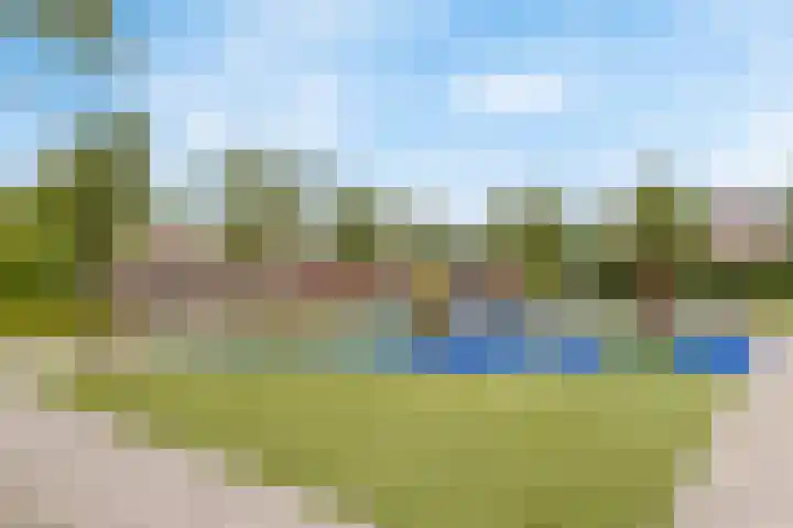 Griend 20 32 Lelystad thumbnail 26