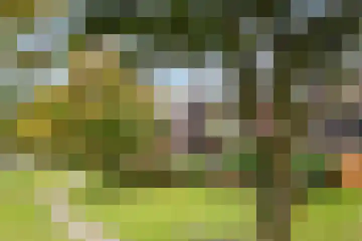 Griend 21 Diemen thumbnail 10