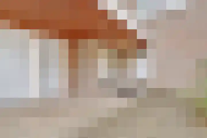 Griend 21 Diemen thumbnail 11