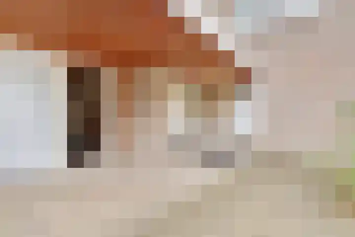 Griend 21 Diemen thumbnail 12
