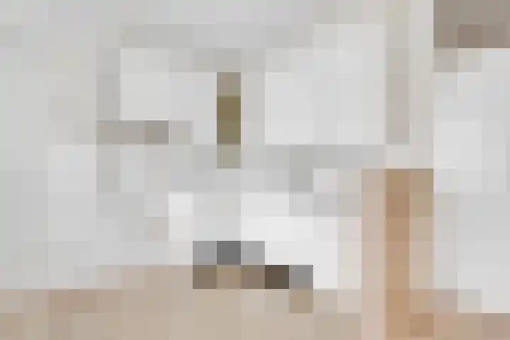 Griend 21 Diemen thumbnail 18