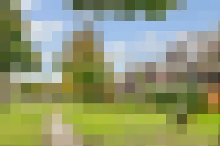 Griend 21 Diemen thumbnail 25