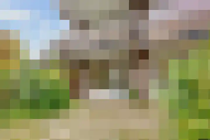 Griend 21 Diemen thumbnail 26