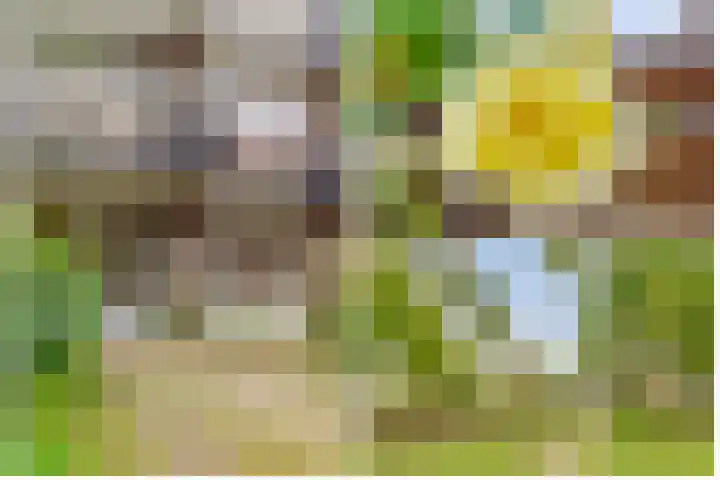 Griend 21 Diemen thumbnail 27