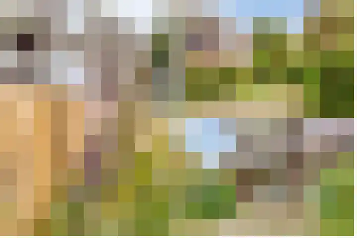 Griend 21 Diemen thumbnail 29