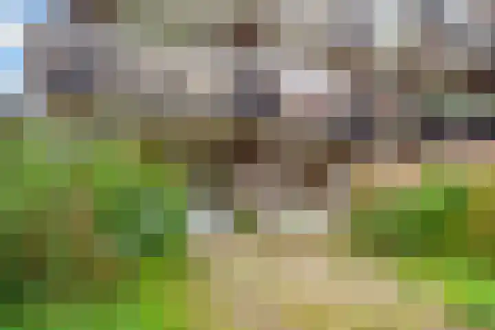 Griend 21 Diemen thumbnail 30