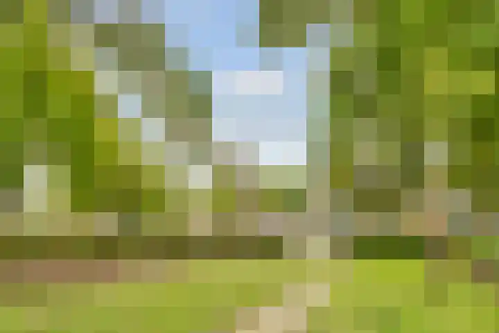 Griend 21 Diemen thumbnail 32