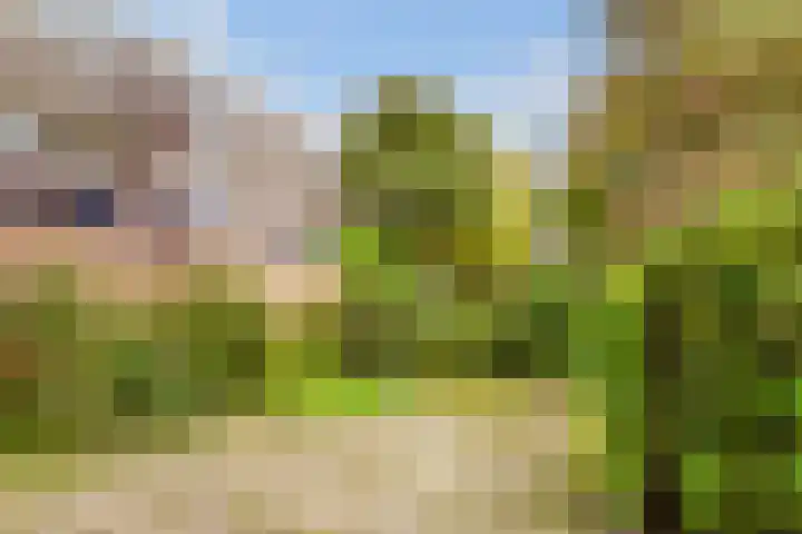 Griend 21 Diemen thumbnail 5