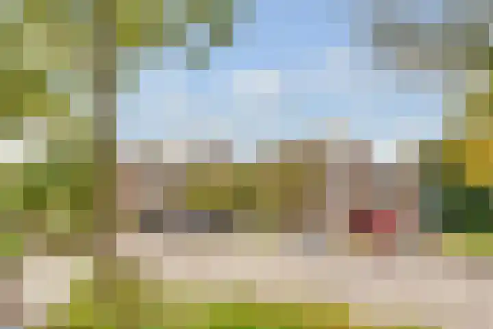 Griend 21 Diemen thumbnail 8