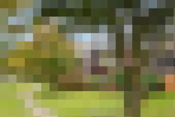 Griend 21 Diemen thumbnail 9