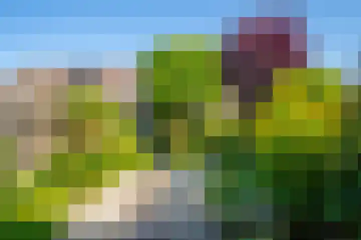 Griend 22 22 32 Lelystad thumbnail 23