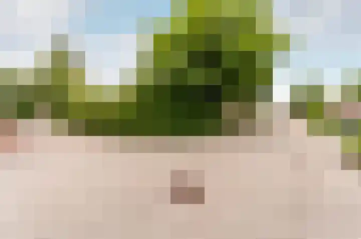 Griend 22 22 32 Lelystad thumbnail 25