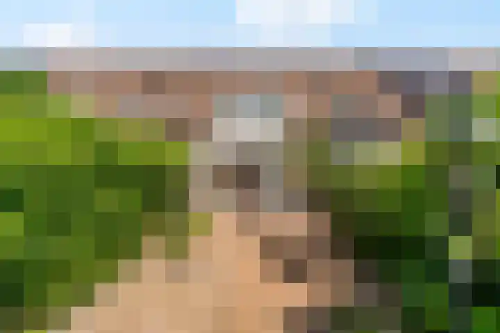 Griend 23 23 28 Lelystad thumbnail 19