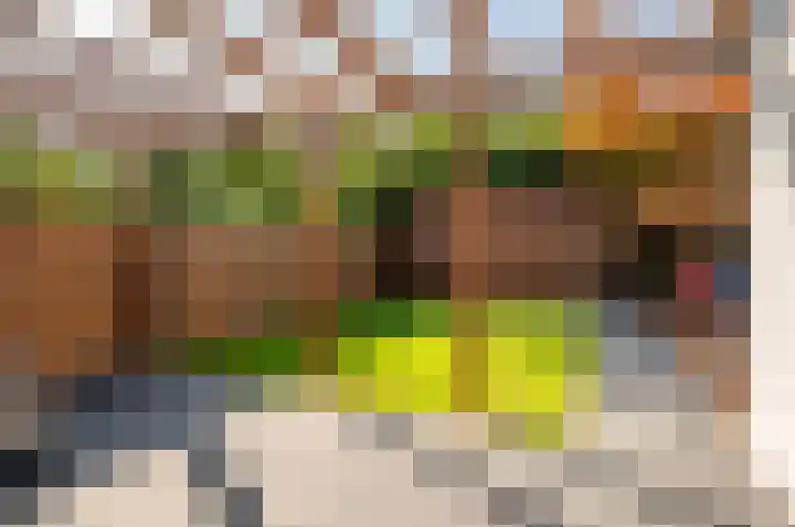 Griend 23 23 8 Lelystad thumbnail 35