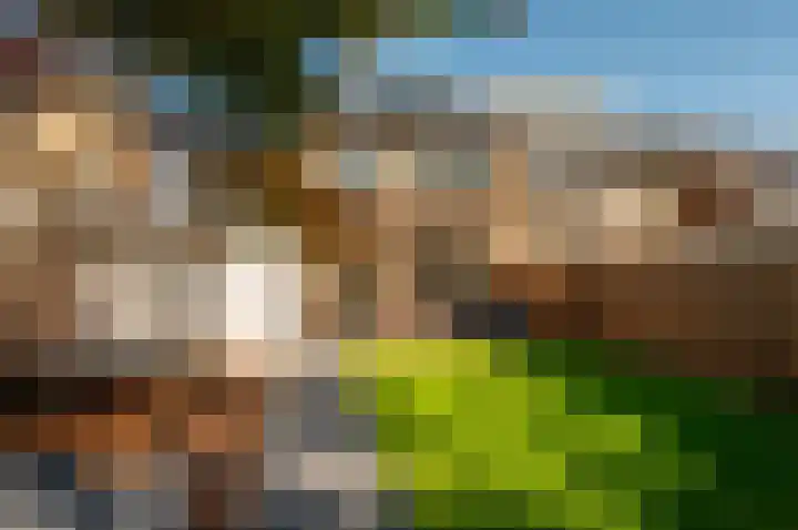Griend 23 23 8 Lelystad thumbnail 36