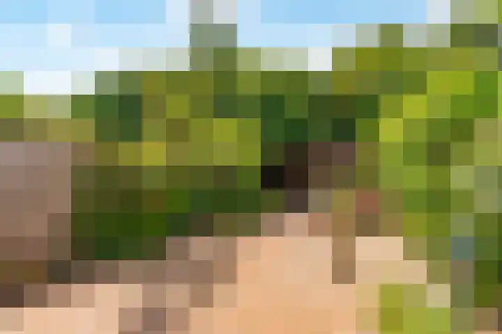 Griend 23 28 Lelystad thumbnail 18