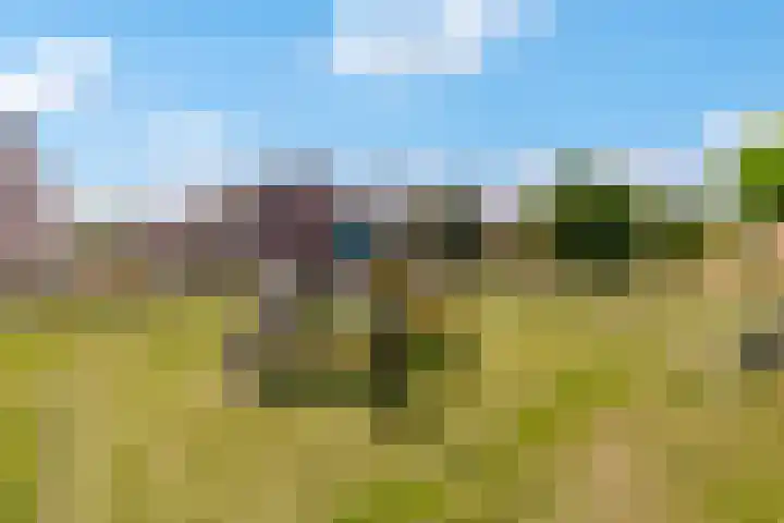 Griend 23 28 Lelystad thumbnail 21