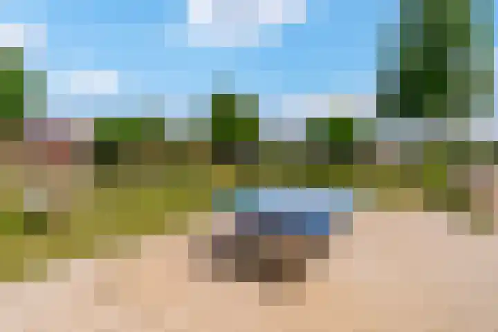 Griend 23 28 Lelystad thumbnail 22