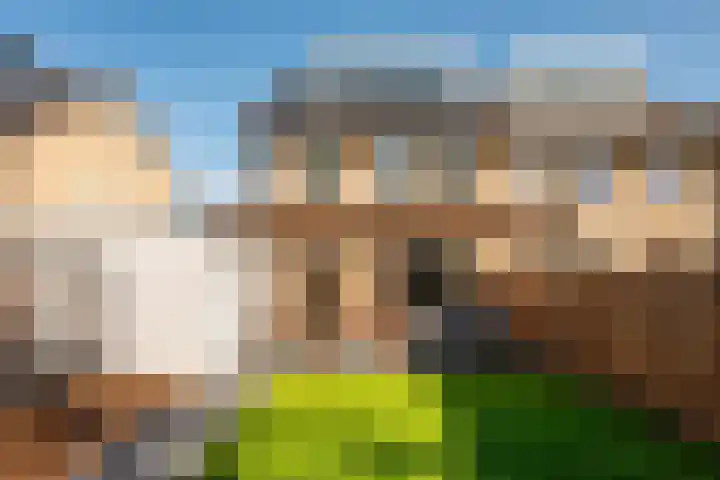 Griend 23 8 in Lelystad