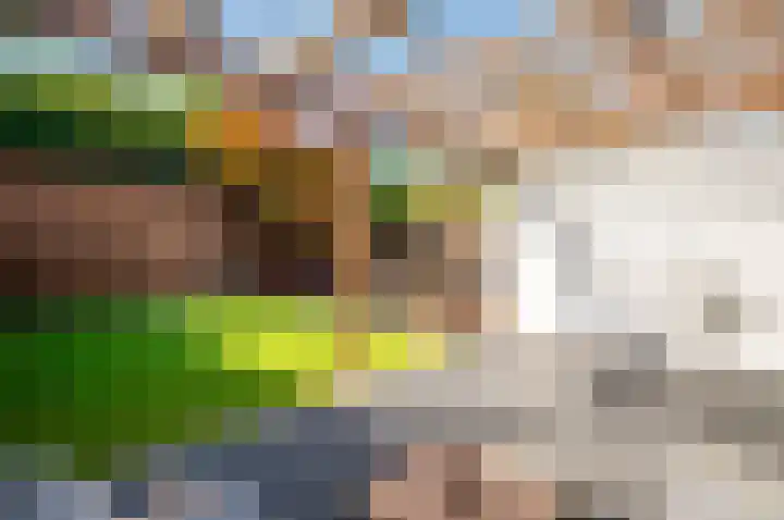 Griend 23 8 Lelystad thumbnail 34
