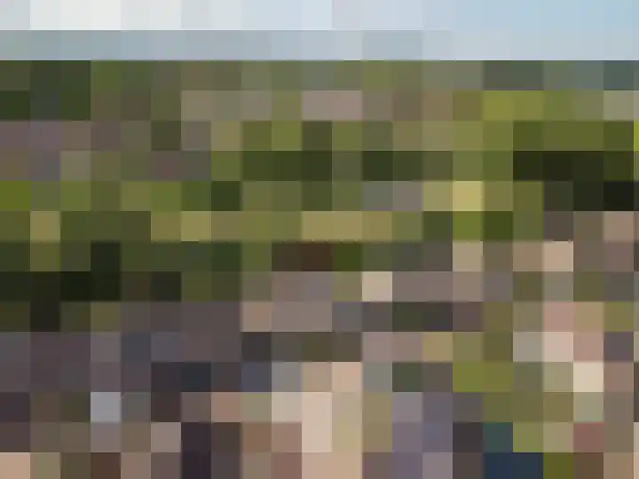 Griend 23 8 Lelystad thumbnail 43