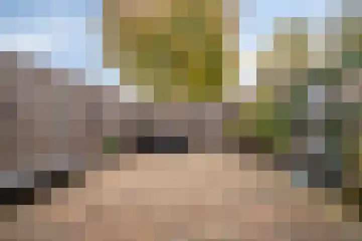 Griend 24 20 Lelystad thumbnail 4