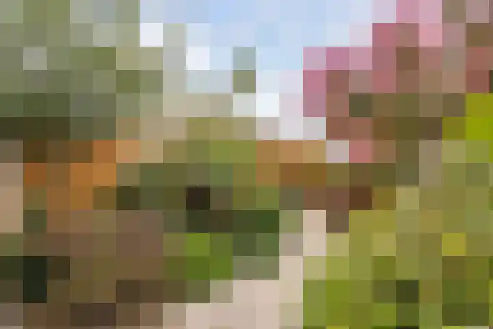 Griend 25 9 Lelystad thumbnail 31