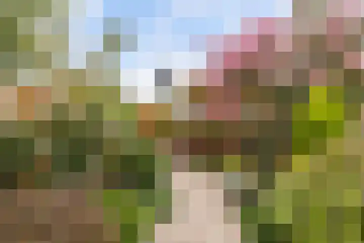 Griend 25 9 Lelystad thumbnail 32