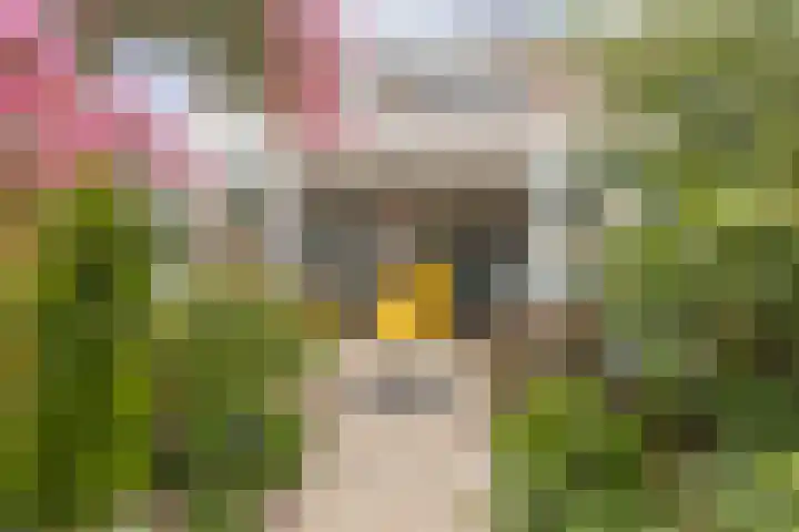 Griend 25 9 Lelystad thumbnail 33