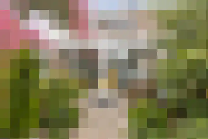 Griend 25 9 Lelystad thumbnail 34